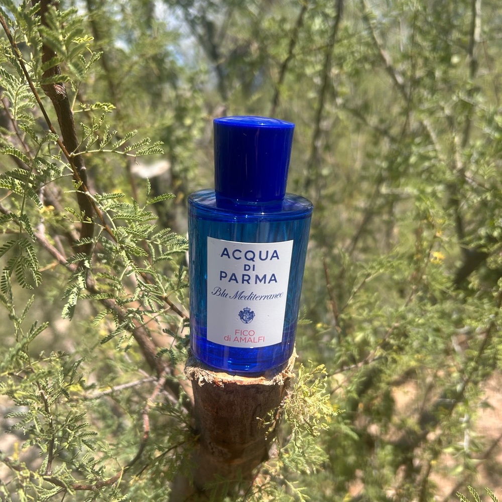 Acqua Di Parma Blu Mediterraneo Fico di Amalfi in Vibrant Blue